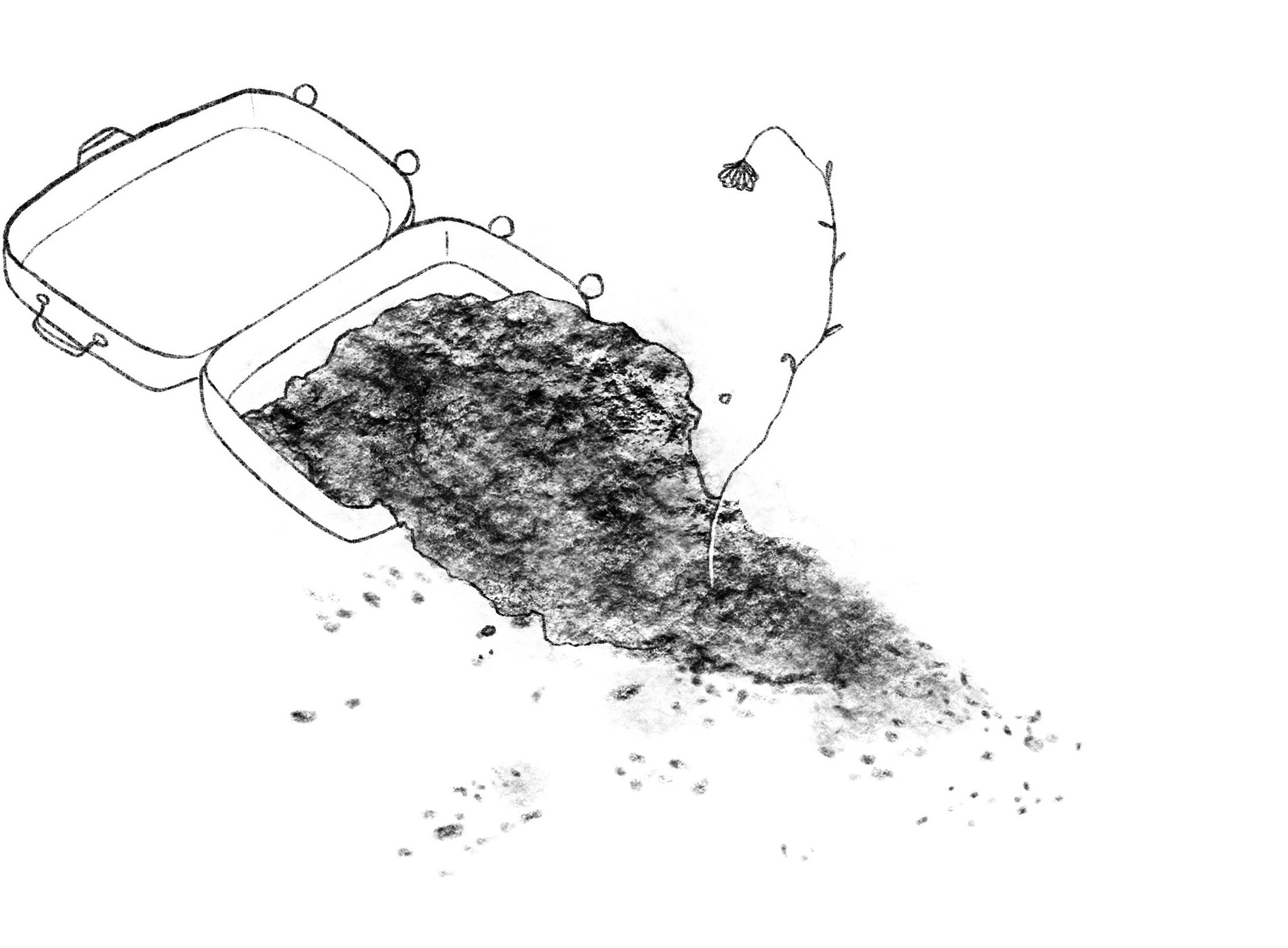 Seidenkoffer – Zeichnung